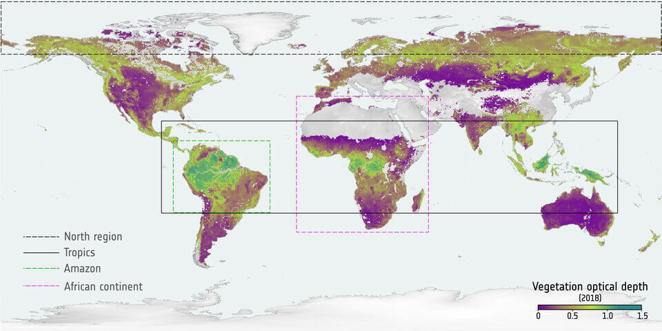 Missione Smos dell’Esa: nuovi dati sul carbonio immagazzinato nelle foreste